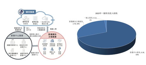 稀缺標(biāo)的港股上市 醫(yī)學(xué)影像第一股邁入高增長(zhǎng)，互聯(lián)網(wǎng)數(shù)據(jù)服務(wù)助力新篇章